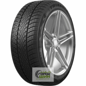 Triangle WinterX TW401 205/55 R16 94V XL